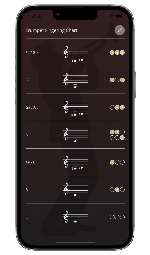 Comprehensive trumpet notes chart reference table showing valve combinations organized by note