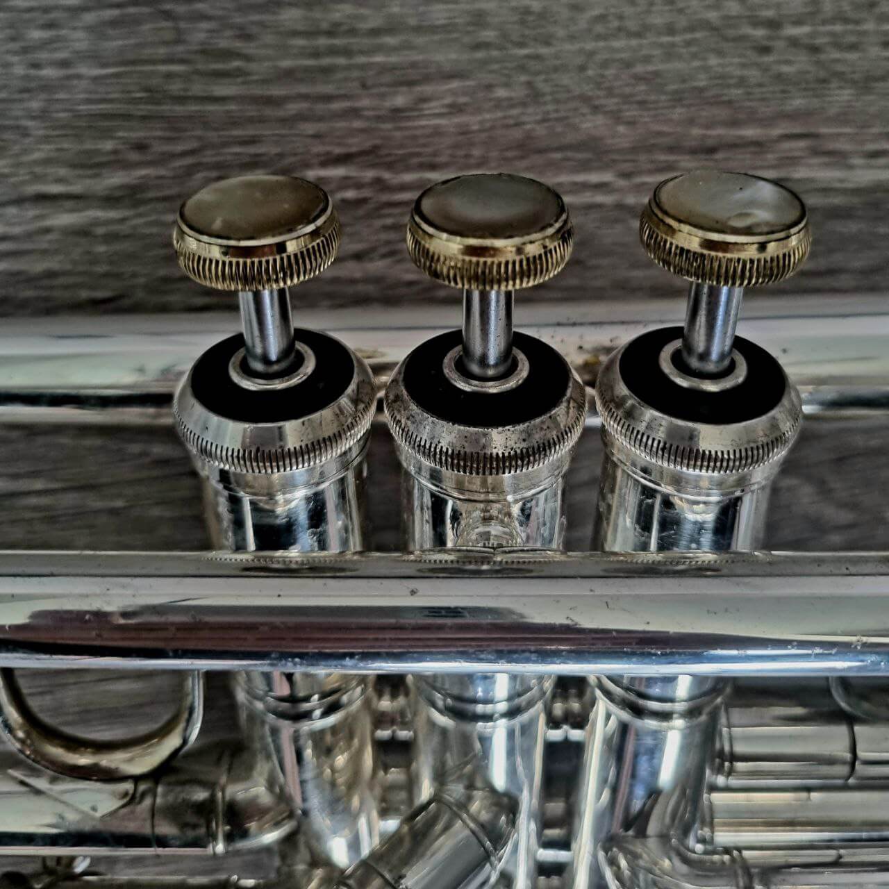 Trumpet Finger Buttons