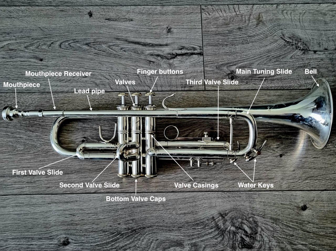 Complete Trumpet Parts Anatomy Diagram