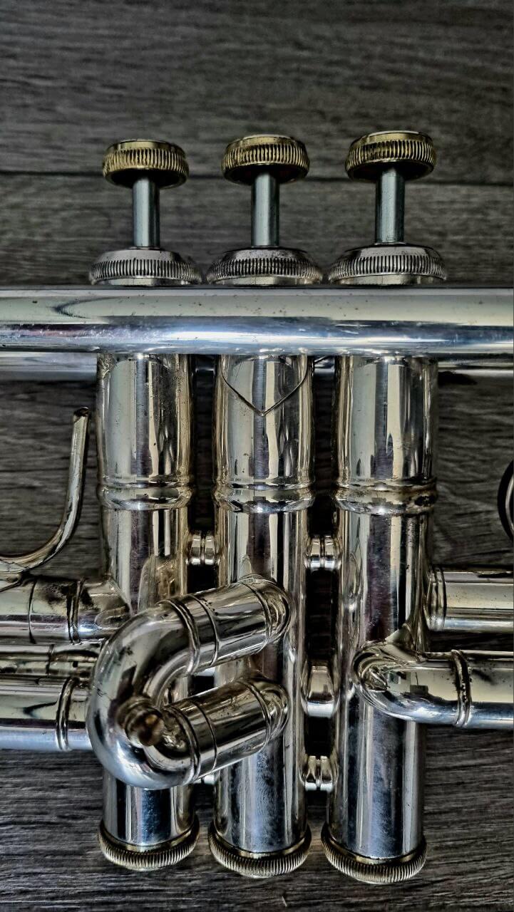 Trumpet Valves System